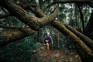 BIB: 
                            <button type="button" onclick="openModal(25664999)" class="btn btn-primary btn-sm float-right btn-popup" data-toggle="modal" data-target=".modal-high-quality">
                        <i class="fas fa-shopping-cart"></i> Add to Cart
                    </button>
                                            <button type="button" onclick="isThisMe(25664999, true)" class="btn btn-success btn-sm float-right btn-popup btn-isme hidden" data-toggle="tooltip" data-placement="bottom" title="นี่คือรูปของคุณใช่ไหม คลิกที่นี่เพื่อเอาเข้าอัลบั้ม">
                        <i class="fas fa-plus"></i> Add to album
                    </button>
                    <button type="button" onclick="isThisMe(25664999, false)" class="btn btn-warning btn-sm float-right btn-popup btn-isnotme hidden">
                        <i class="fas fa-ban"></i> Remove from album
                    </button>